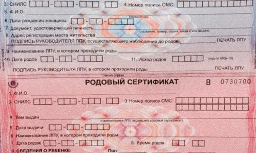 Родовой сертификат. Родовой сертификат. Родовой сертификат бумажный. Электронный родовой сертификат. Родовый сертификат.