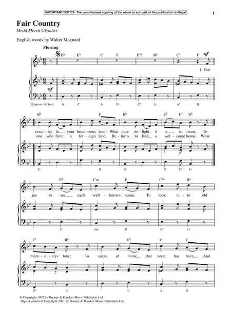 Tu viet nam. Бао с рыбой. Закуска из тофу. Tu ca. Картинки рыбы лау лау.