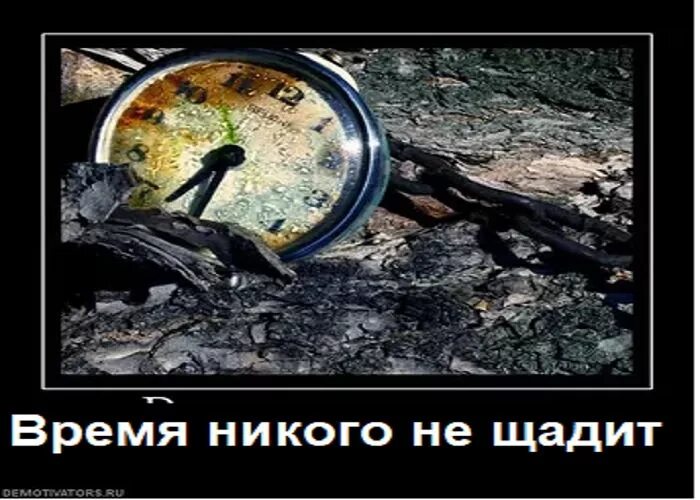 Время ничего не дало. Время не щадит никого. Жизнь не щадит никого. Время не щадит никого цитаты. Время ничего не щадит.