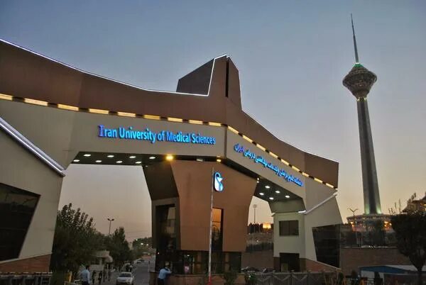 Contemporary Iranian architecture in and outside Iran