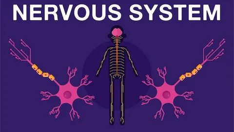 Got system