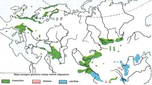 рябчик ареал обитания. ареал ландыша. ареал ландыша. географический ареал. географический ареал.