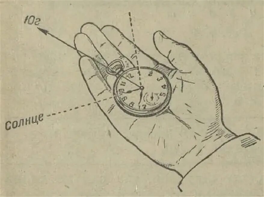 Как определить время как направление. Определение времени по солнцу. Как определить время по солнцу. Как определить время без часов. Как измерить время по солнцу.