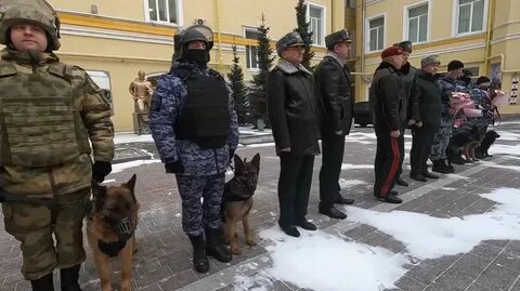 Росгвардию расформируют