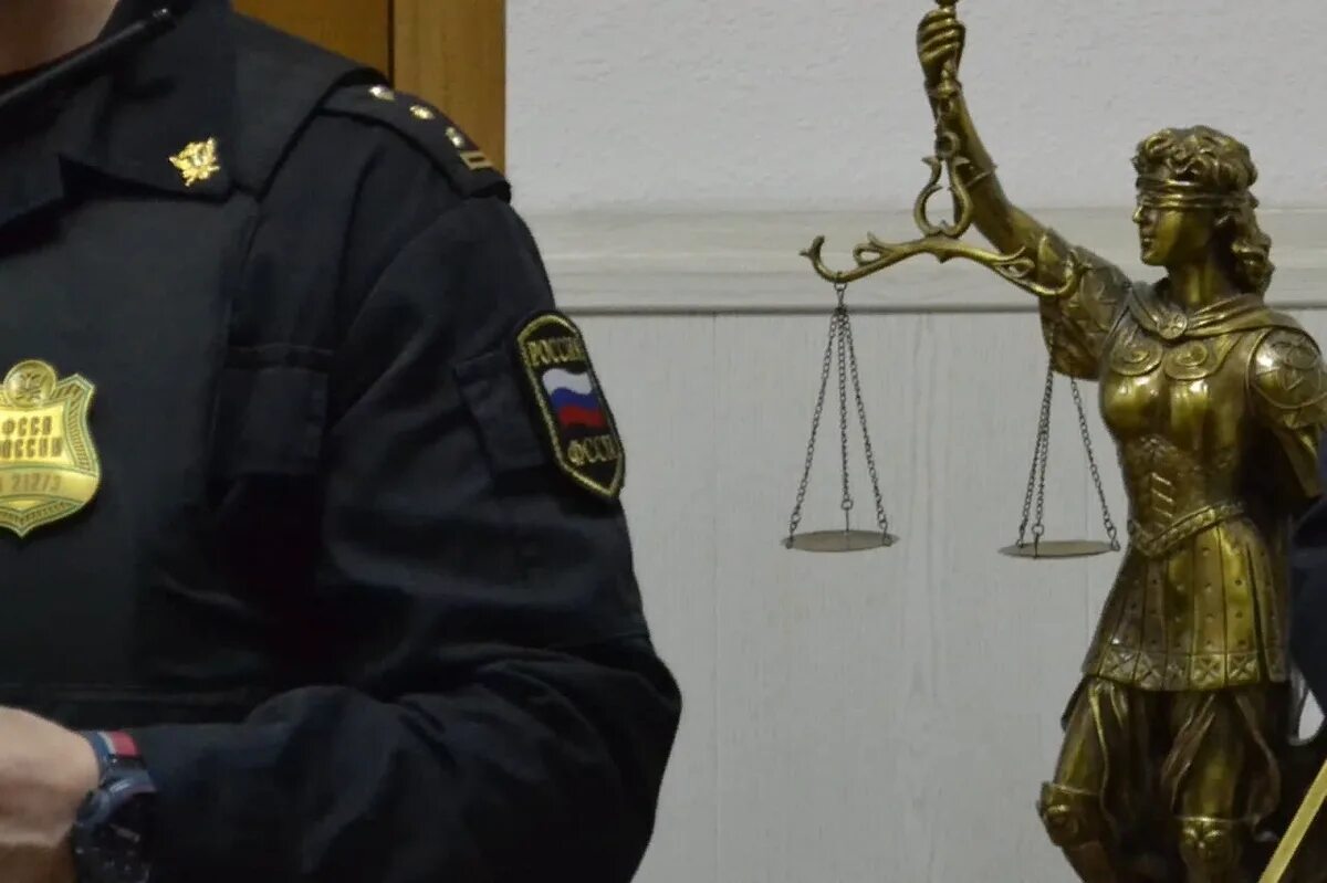 Исполнения судебных приставов. Фссп в судах. должники судебных приставов. судебный пристав в суде. фссп в суде.
