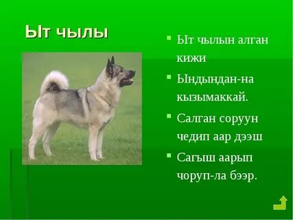 Тывызык