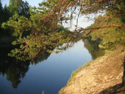 Борский керженец