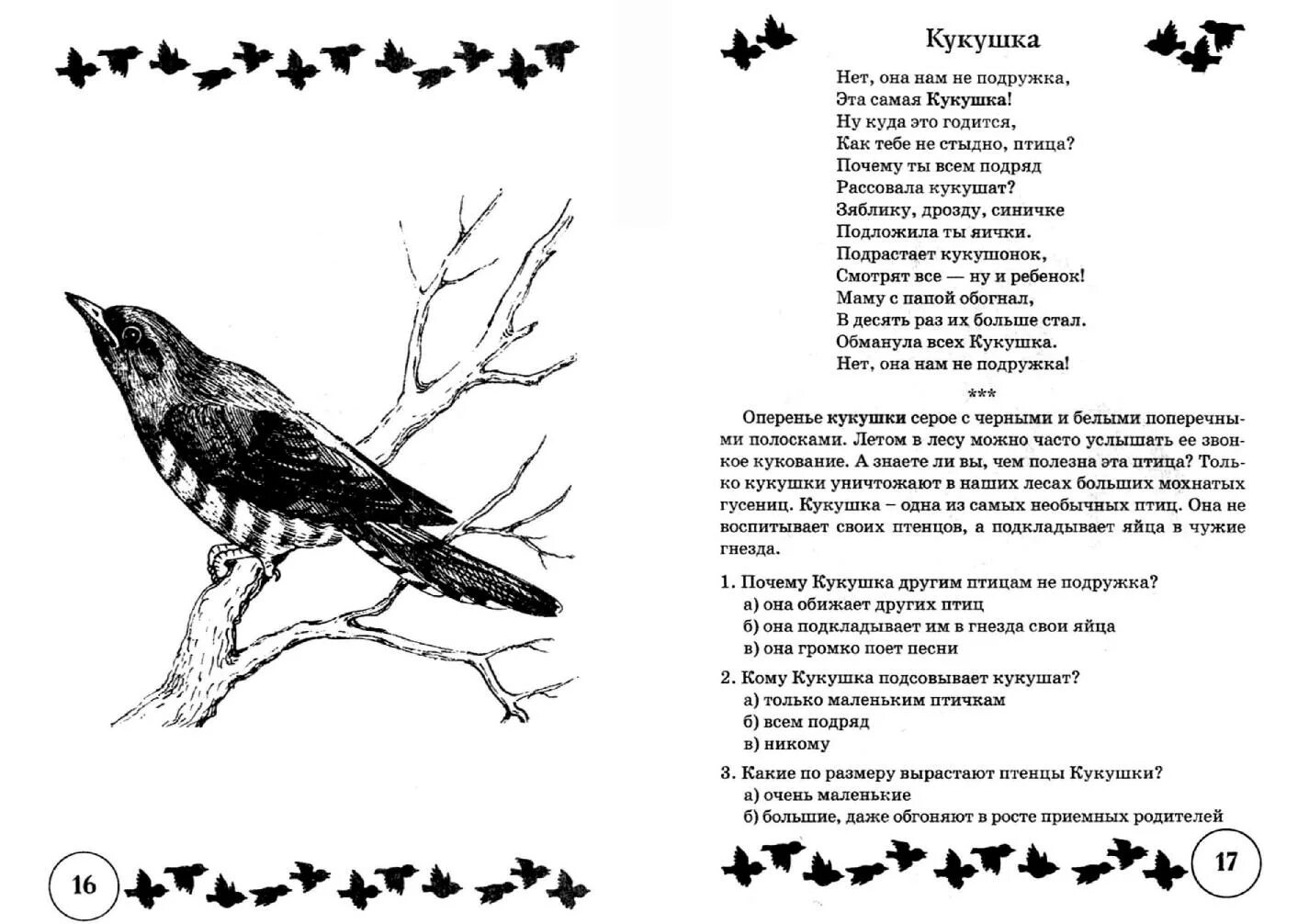 Краткое содержание кукушка 7 класс. Стихи и речевые упражнения по теме "птицы".. Стих Кукушка. Доклад про птиц. Задание про кукушку.