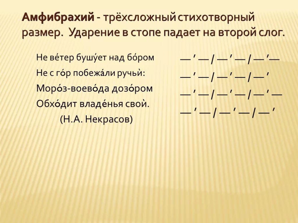 Четырехстопный амфибрахий. Трехсложный амфибрахий. Стихотворные Размеры. Не ветер бушует над бором стихотворный размер.