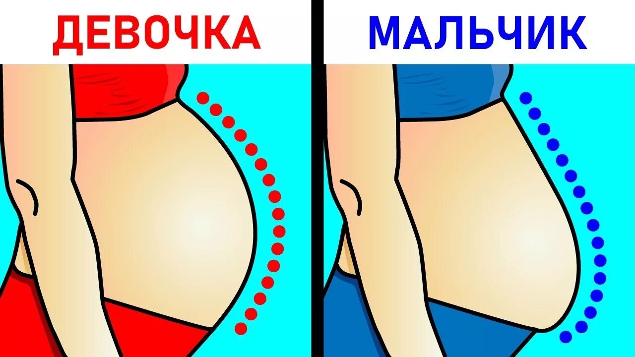 Как отличить беременную. Пол ребёнка по форме живота. Как по форме живота определить пол ребенка. Определение пола по форме живота. Как узнать пол ребёнка по жевоту.