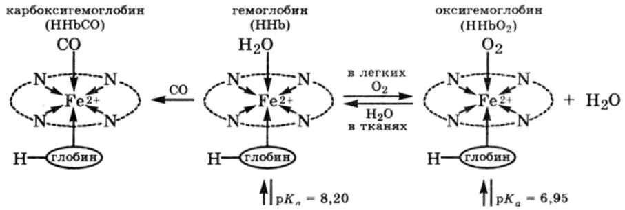 Оксигемоглобин повышение. Оксигемоглобин повышение