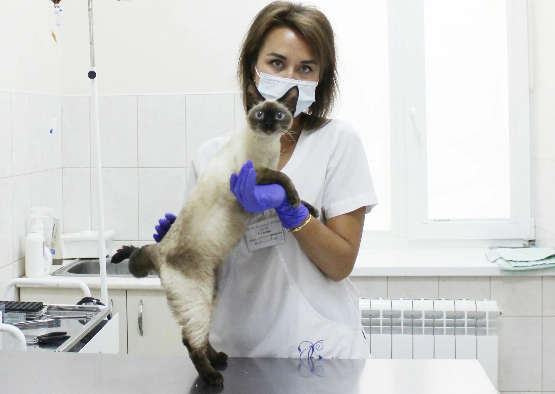 добрый доктор ветеринарная клиника. ветеринарный врач ростов на дону. богатищев павел сергеевич ветеринар. ветеринарный доктор полотовский константин. ветеринар игорь биарсланов.