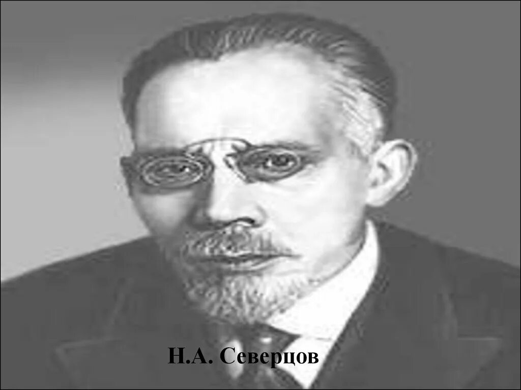 Н а северцев. Н а северцев