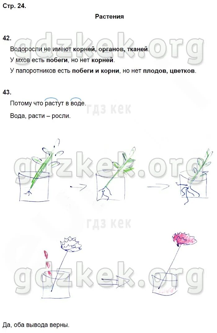 окружающий мир 3 класс рабочая тетрадь страница 55. окружающий мир ответы 3 класс рабочая тетрадь. рабочая тетрадь по окружающему миру 3 класс 2 часть плешаков стр 16. рассмотри грецию на карте. окружающий мир 3 класс рабочая тетрадь 1 часть плешаков новицкая.