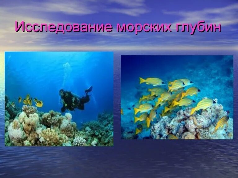 Почему море солёное исследовательская работа. Исследовательская работа море. Исследовательская работа море. Исследовательская работа море. Глубина исследования.