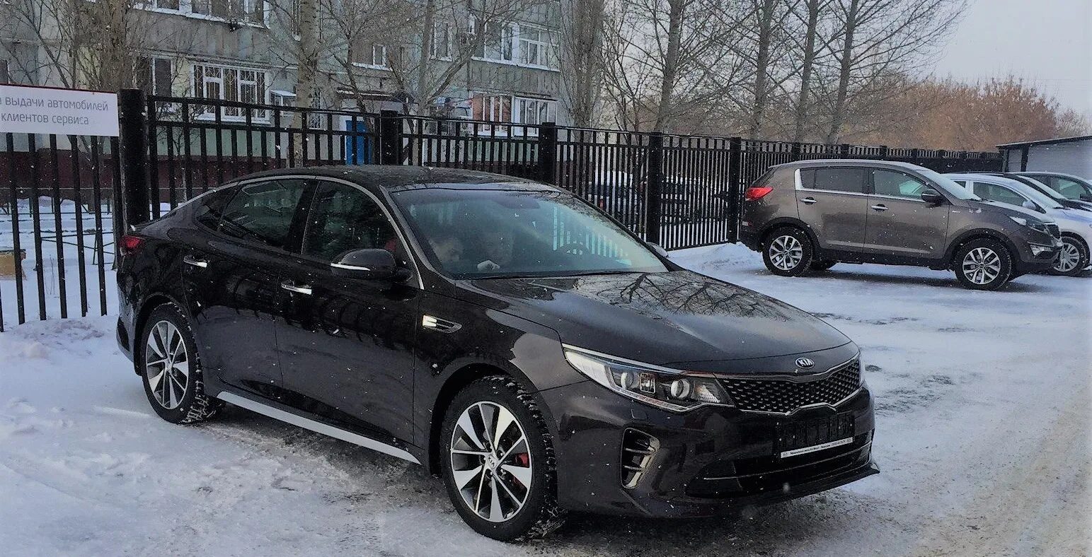 Киа Оптима 2.4 черная. Kia Optima Brown. Киа Оптима темно зелёная 2.4. Киа Оптима 15-19. Киа оптима 2.0 купить