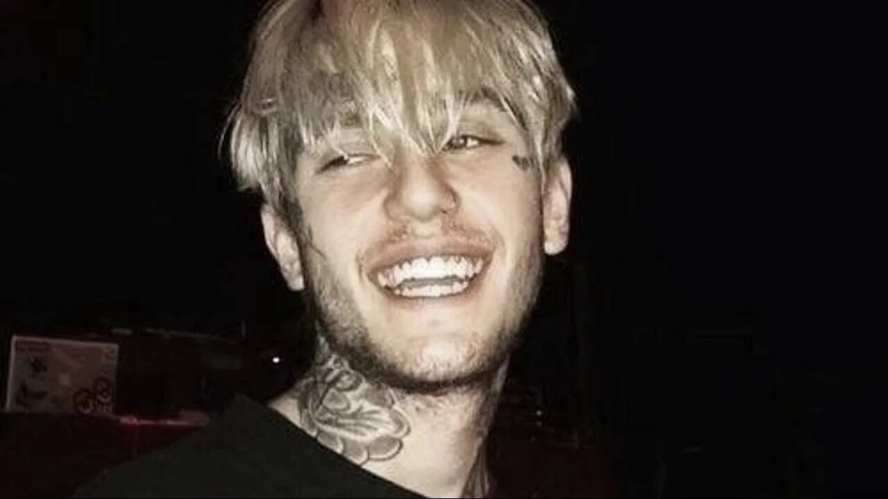 Lil peep с собакой. Пес лил пампа. Lil peep 2015. Лил псина. Лили пип в детстве.