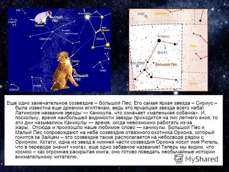 Какая звезда относится к какому созвездию. Рассказ о созвездии малый пес. Созвездие большого пса доклад 1 класс. Самая яркая звезда в созвездии большого пса. Созвездие большого пса на карте звездного неба.