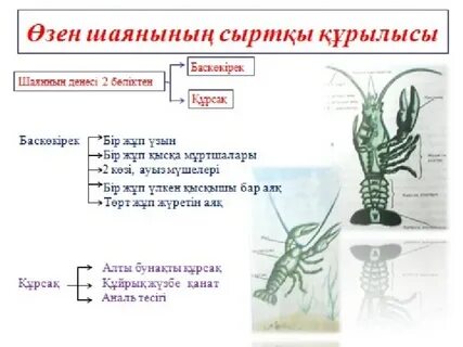 Әйел өзін сүйіктісіне береді