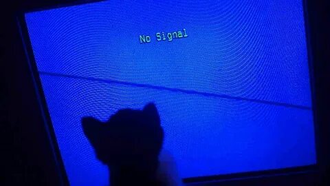 No signal