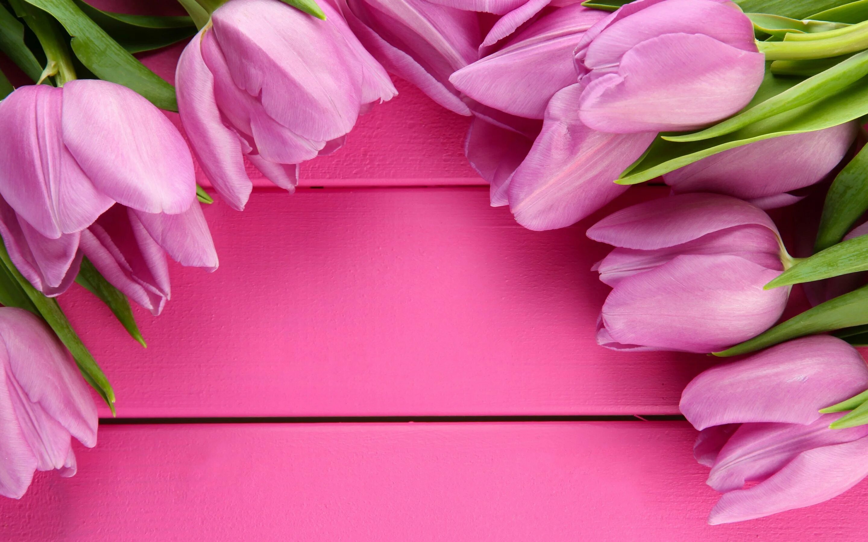 Тюльпаны открытка. Розовые тюльпаны. Открытка цветы. День матери. С днем рождения мама коротко и красиво