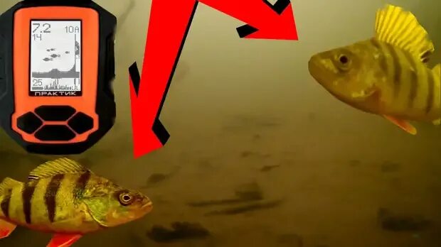 Зимний эхолот практик 8. Эхолот практик 8. Как практик 8 показывает рыбу. Как практик 8 показывает рыбу. Практик про 4 эхолот в троллинге.