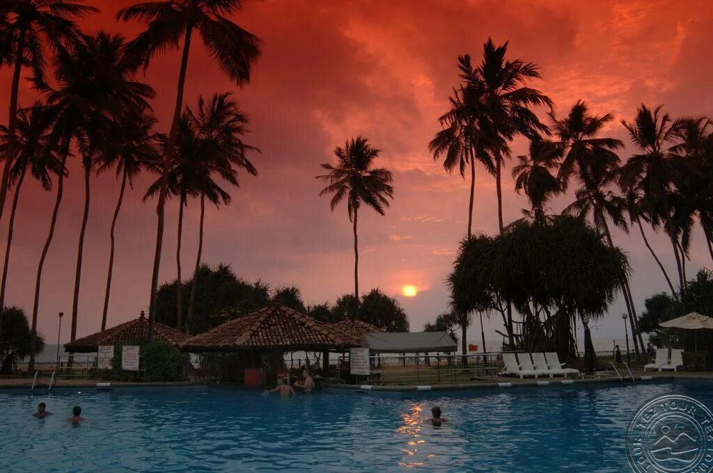 Tangerine beach 4 шри-ланка. Tangerine beach шри ланка. Tangerine beach 4. Tangerine beach 4* калутара. Tangerine beach hotel шри-ланка калутара.