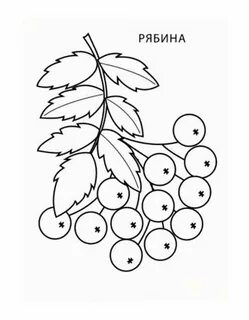 Рябину составить слова