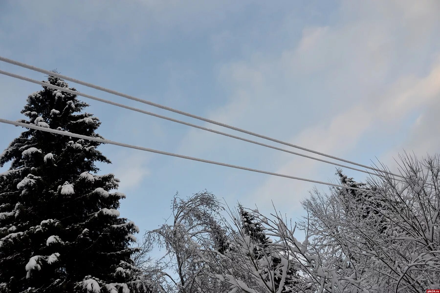 Иней на проводах. Налипание снега на провода. Снег на проводах. Налипание снега на ЛЭП. Ветка на проводах зима.