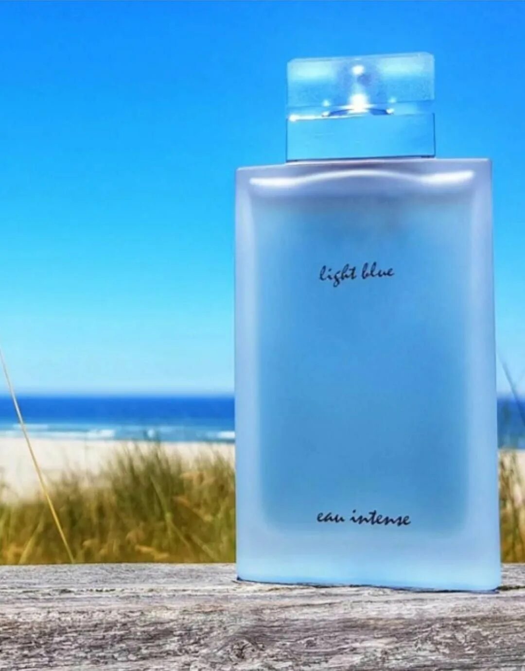 Dolce & Gabbana Light Blue Eau intense. Дольче Габбана Лайт Блю Eau intense. Дольче Габбана Лайт Блю женские. Dolce&Gabbana Light Blue Eau 100ml EDT. Dolce gabbana light blue аромат