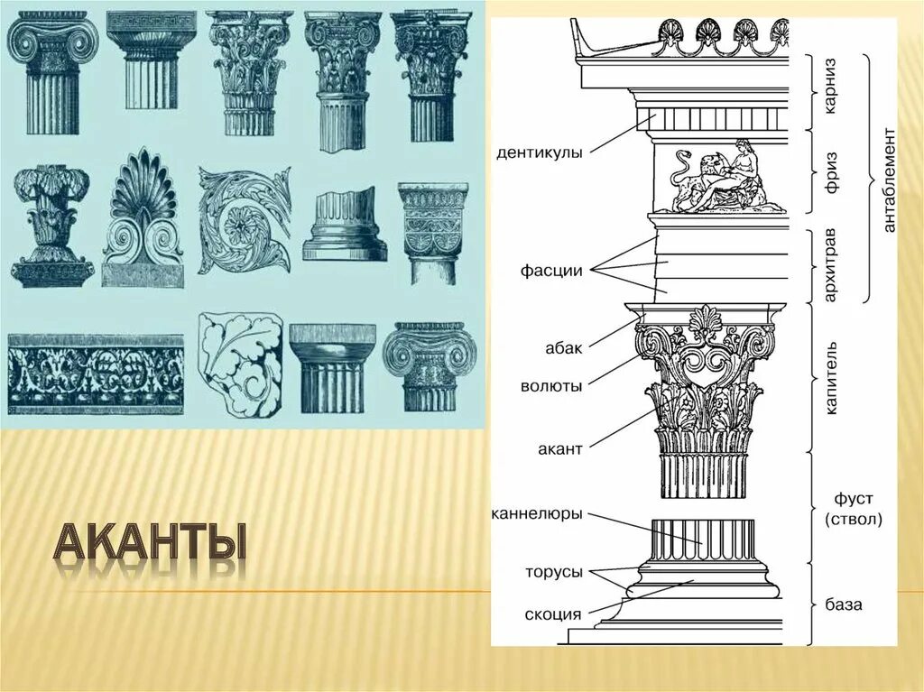 Дентикулы в архитектуре. Архитектурный элемент дентикулы. Карниз архитектурные элементы. Венчающий карниз с дентикулами.