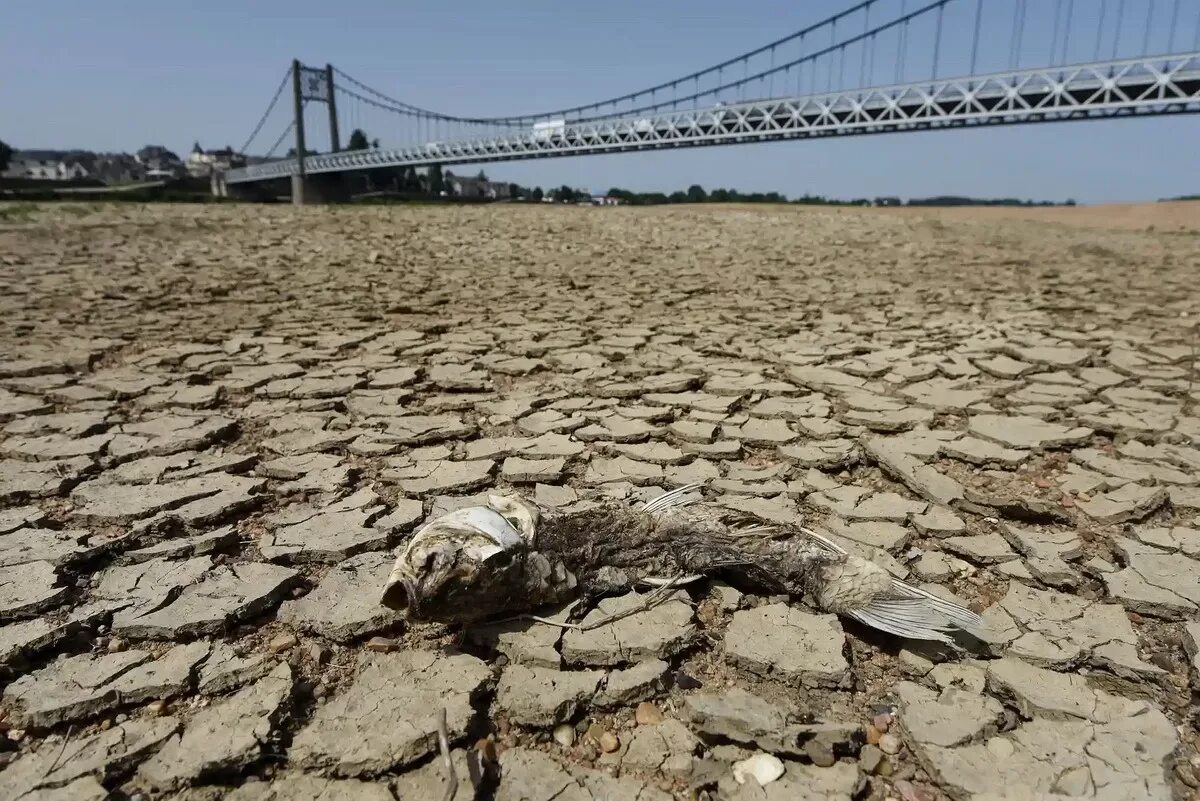 Засуха русский. Венеция засуха 2022. Сасыколи засуха 2022. Жара засуха. Засуха в Италии.