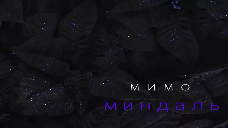 Малфа видео