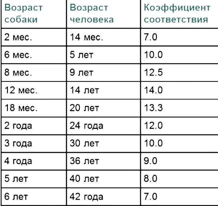 Сколько раз живут собаки
