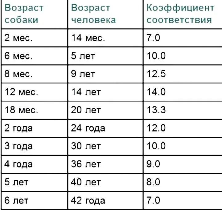 Собака по возрасту. Возраст собаки по человеческим меркам таблица. Средняя Продолжительность жизни собак. Соответствие возраста собаки и человека таблица для средних пород. Продолжительность жизни собак таблица.