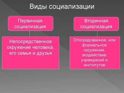 Уровень первичной продукции
