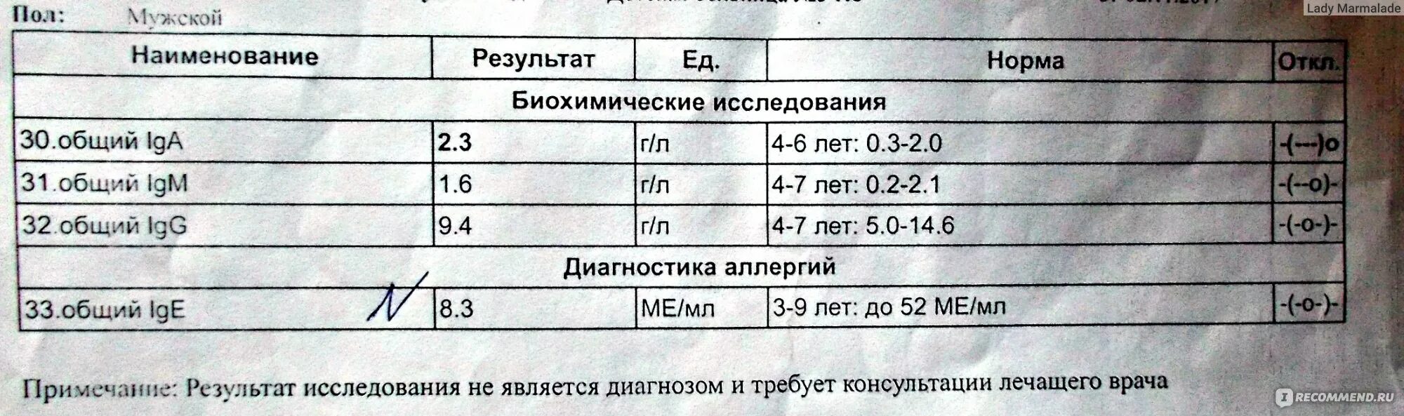 Иммунограмма при бронхиальной астме. Иммунограмма иммуноглобулинов. Иммунограмма при ВИЧ показатели. Иммунограмма IGE общий норма. Анализ иммуноглобулин е расшифровка