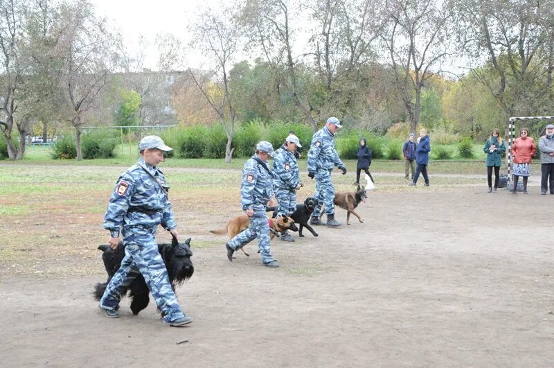 Кинологический колледж после 9 класса. Алтайский Кинологический техникум. Кинолог Барнаул колледж. Алтайский Кинологический колледж в Барнауле. Кинологическая школа.