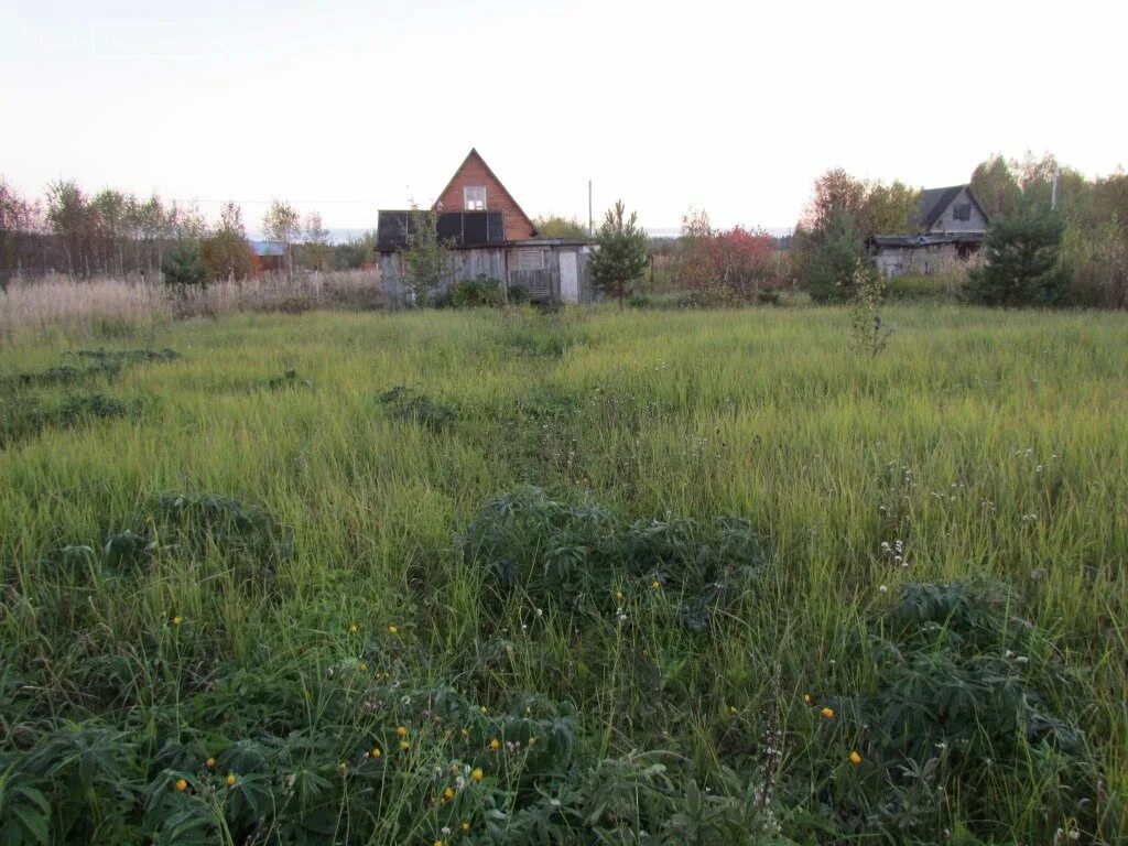 Снт солнечное купить участок. СНТ Солнечный Александровский район. Ведево Владимирская область Александровский район. Степково Александровский район Владимирская обл. СНТ Степково.