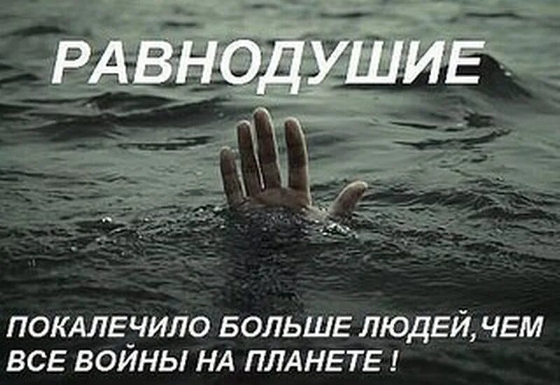 Равнодушие хуже. Высказывания о равнодушии. Безразличие цитаты. Фразы про равнодушие. Равнодушие цитаты.