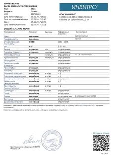 Почки инвитро