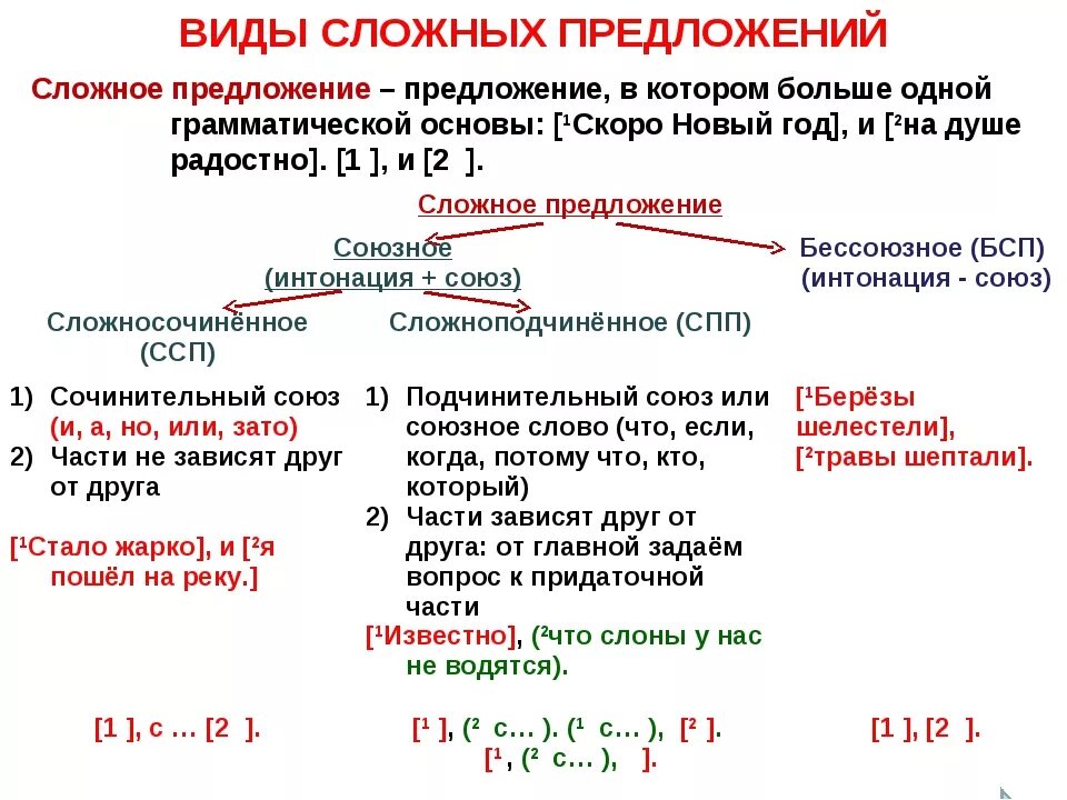 Сколько видов сложного предложения