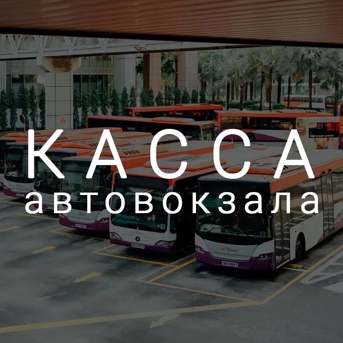 Касса автовокзала краснодар. Касса автостанции. Касса автовокзала. Касса автовокзал Краснодар 2. Рисунки касс на автовокзале.