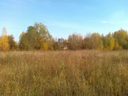 Орехово курская область
