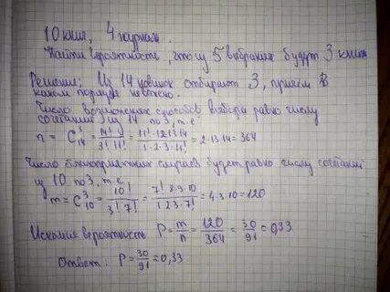 В библиотеке читателю предложили на выбор