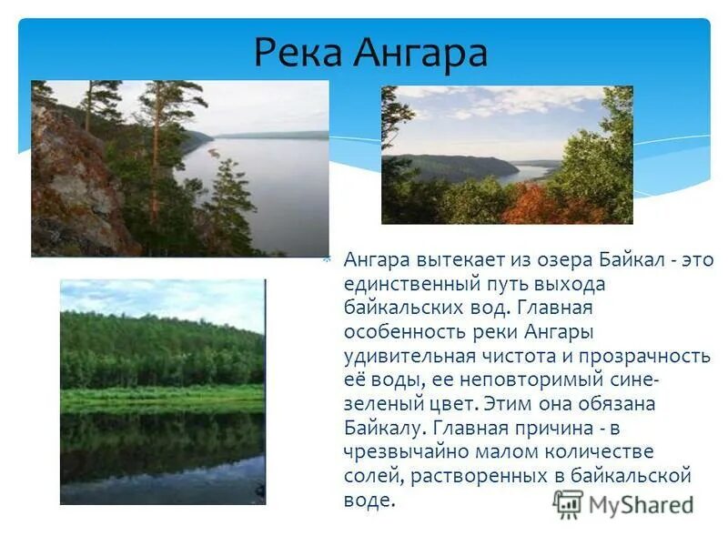 Река Ангара. Река Ангара презентация 8 класс. Растения реки Ангара. Озеро из которого вытекает Ангара.