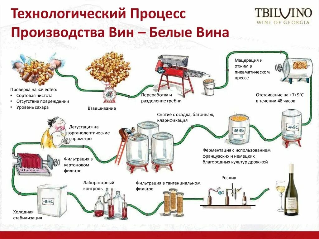 Производство сухого вина