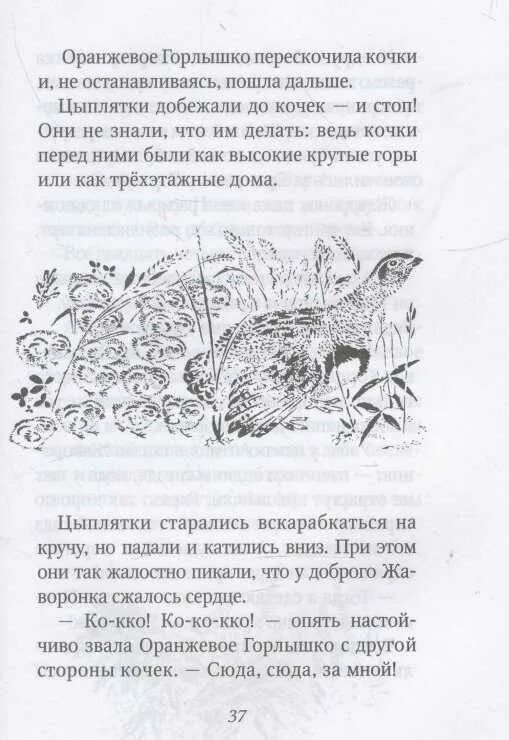 Читательский дневник бианки оранжевое. В В Бианки оранжевое горлышко Мурзук. Пересказ оранжевое горлышко Мурзук. Произведения Бианки оранжевое горлышко.