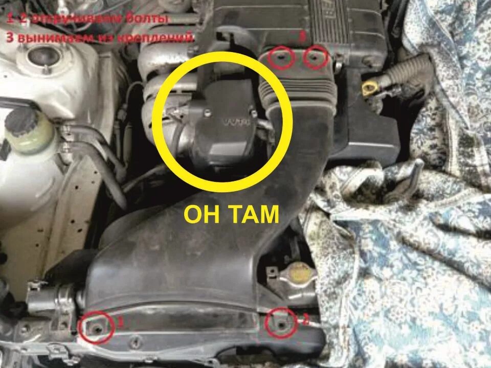 Где расположен номер кузова и двигателя на Хонде Элюзион 2,4 - Honda Elysion, 2,