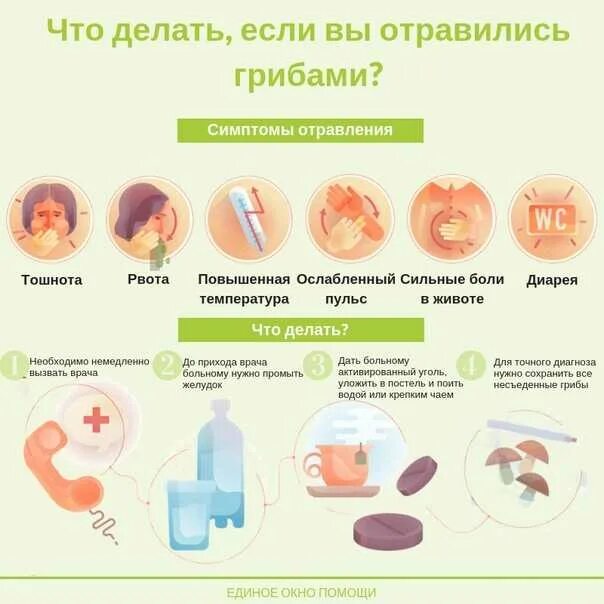 Через сколько дней проходит отравление